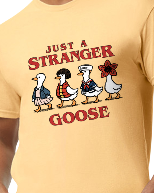Stranger goose
