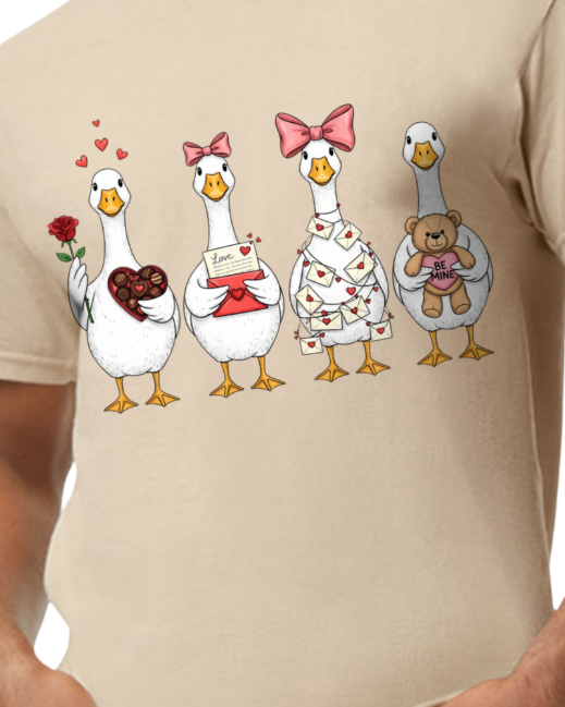 Valentines goose