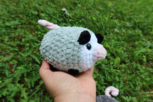 Opossum